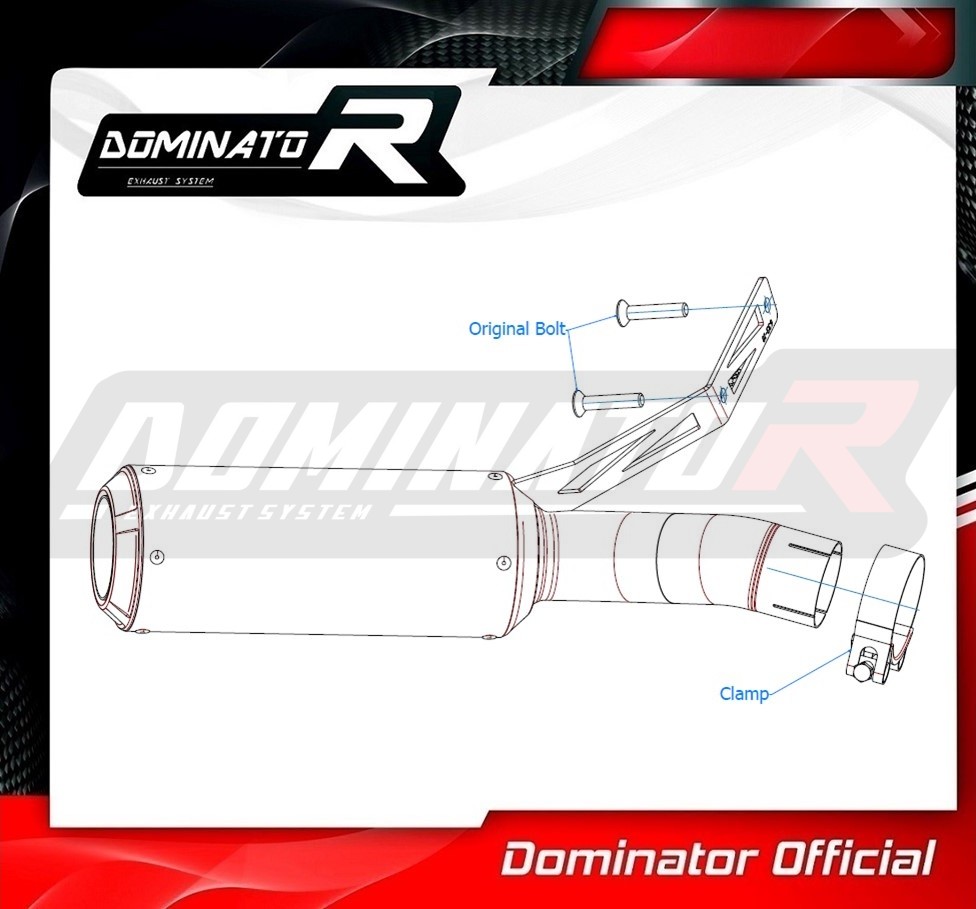 Collecteur Échappement DOMINATOR Pour BMW F900XR 2020-2023 - Acier Inoxydable