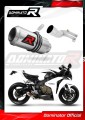 échappement silencieux DOMINATOR GP compatible avec la moto Honda CBR 1000RR 2008  2013
