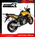 échappement silencieux DOMINATOR ovale compatible avec la moto Aprilia ETV 1200 Caponord 2013  2016 3