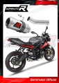 wydech tłumik DOMINATOR GP pasujący do motocykla Triumph STREET TRIPLE 675 R / S / RS 2013 - 2016