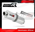 échappement silencieux DOMINATOR ovale compatible avec la moto Yamaha XJR 1300 2007  2016 2