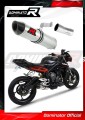 wydech tłumik DOMINATOR HP2 pasujący do motocykla Triumph STREET TRIPLE 765 S R RS 2017 - 2019