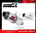 échappement silencieux DOMINATOR HP3 compatible avec la moto KTM RC 125 2017  2020