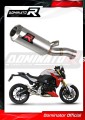 échappement silencieux DOMINATOR GP compatible avec la moto BMW F900R 2020  2026