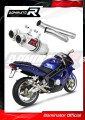 exhaust muffler DOMINATOR GP1 fits to MuZ MZ 1000 S 2004  2007