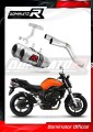 échappement silencieux DOMINATOR GP compatible avec la moto Yamaha FZ6 2004  2010