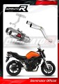 échappement silencieux DOMINATOR ovale compatible avec la moto Yamaha FZ6 2004  2010