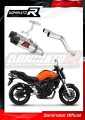 échappement silencieux DOMINATOR HP3 compatible avec la moto Yamaha FZ6 2004  2010 4