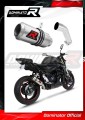échappement silencieux DOMINATOR GP compatible avec la moto Suzuki GSR 750 2011  2016