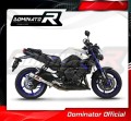 échappement silencieux DOMINATOR GP compatible avec la moto Yamaha FZ8 FAZER 2010  2016 3