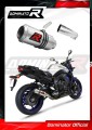 échappement silencieux DOMINATOR GP compatible avec la moto Yamaha FZ8 FAZER 2010  2016 5