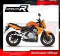 échappement silencieux DOMINATOR GP1 noir compatible avec la moto Kawasaki ER  6 N / F 650 2006  2008 2