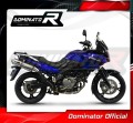 Suzuki DL 650-Strom 2004 - 2006  motorcycle Exhaust Muffler Auspuff Sportauspuff Silencer Echappement Silencieux Scarico Scarichi Escape Wydech Tłumik OV  Dominator 3