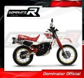 échappement silencieux DOMINATOR ovale compatible avec la moto Yamaha XT 600 TENERE 1987  1989 4