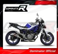 Suzuki SFV 650 GLADIUS 2009 -2015  motorcycle Exhaust Muffler Auspuff Sportauspuff Silencer Echappement Silencieux Scarico Scarichi Escape Wydech Tłumik GP  Dominator 2