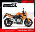 ER-6N ER-6F 650 EXHAUST Kawasaki Muffler Auspuff Sportauspuff Silencer Echappement Silencieux Scarico Scarichi Escape Wydech Tłumik Carbon Tip HP2 2006 - 2008 Dominator 3