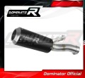 échappement silencieux DOMINATOR GP noir compatible avec la moto BMW F900R 2020  2026 2