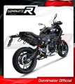 exhaust muffler DOMINATOR GP BLACK fits to BMW F900R 2020  2026 3