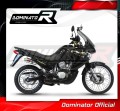 échappement silencieux DOMINATOR GP1 compatible avec la moto Honda XL 650 V TRANSALP 2001  2007 4
