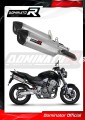 échappement silencieux DOMINATOR HP1 compatible avec la moto Honda CB 900F HORNET 2002  2007