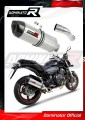 échappement silencieux DOMINATOR HP1 compatible avec la moto Honda CB 600F HORNET PC41 2007  2013