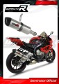 exhaust muffler DOMINATOR HP1 fits to BMW S1000RR 2009  2011 4