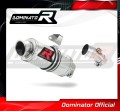 échappement silencieux DOMINATOR GP1 compatible avec la moto Kawasaki ER  6 N / F 650 2006  2008 4