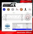 ZX6R EXHAUST Kawasaki Muffler Auspuff Sportauspuff Silencer Echappement Silencieux Scarico Scarichi Escape Wydech Tłumik OVAL 1998 - 2002 Dominator 1