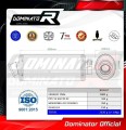wydech tłumik DOMINATOR Owalny pasujący do motocykla Suzuki SV 650 N 1999 - 2002 2