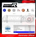 échappement silencieux DOMINATOR GP1 compatible avec la moto Suzuki SV 650 N 1999  2002 2