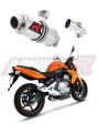 échappement silencieux DOMINATOR GP1 compatible avec la moto Kawasaki ER  6 N / F 650 2006  2008 6