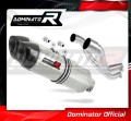 Pegaso 650 Factory Exhaust Aprilia Muffler Auspuff Sportauspuff Silencer Echappement Silencieux Scarico Scarichi Escape Carbon Tip HP1 2007 - 2010 Dominator 