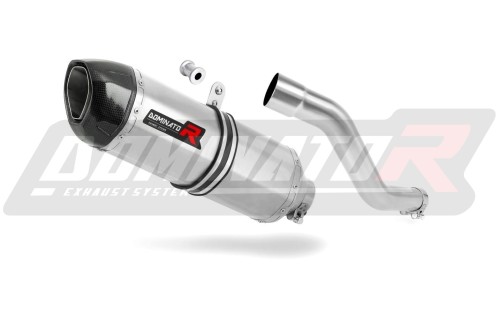 DR 750 S / BIG EXHAUST Suzuki Muffler Auspuff Sportauspuff Silencer Echappement Silencieux Scarico Scarichi Escape Wydech Tłumik Carbon Tip right side HP1 Dominator  x