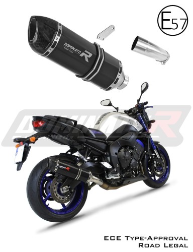 échappement silencieux DOMINATOR homologué HP1 noir compatible avec la moto F