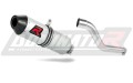 échappement silencieux DOMINATOR MX2 compatible avec la moto Yamaha TTR 250 1999  2006 3