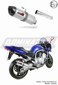 Yamaha FZS FAZER 1000 2001 - 2005 EU Approuvé Pot d'échappement Silencieux HP1