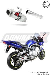 Yamaha FZS FAZER 1000 2001 - 2005 EU Approuvé Pot d'échappement Silencieux GP1
