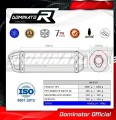 MONSTER 900 EXHAUST Ducati Muffler Auspuff Sportauspuff Silencer Echappement Silencieux Scarico Scarichi Escape Wydech Tłumik HP1 BLACK 1993 - 2004 Dominator 1