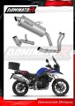 complete exhaust system with muffler DOMINATOR Full System titanium P7 fits to BMW F900GS Adventure 2024