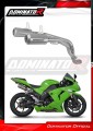 échappement silencieux DOMINATOR GPS compatible avec la moto Kawasaki ZX10R 2006  2007 2