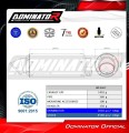 Yamaha Tenere 700 2021 - 2023 EXHAUST Muffler Auspuff Sportauspuff Silencer Echappement Silencieux Scarico Scarichi Escape Wydech Tłumik GPF Dominator Exhaust System 4