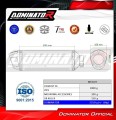 échappement silencieux DOMINATOR S6 compatible avec la moto CF MOTO 450 MT 2025  2026 6