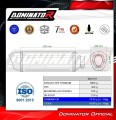 Yamaha Tenere 700 2019 - 2020 EXHAUST Muffler Auspuff Sportauspuff Silencer Echappement Silencieux Scarico Scarichi Escape HP6 Titanium Dominator 4