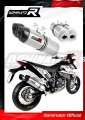 690 SM SUPERMOTO EXHAUST KTM Muffler Auspuff Sportauspuff Silencer Echappement Silencieux Scarico Scarichi Escape Wydech Tłumik Carbon Tip HP1 Dominator