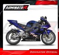 échappement silencieux DOMINATOR GP noir compatible avec la moto Honda CBR 954 2002  2003 6
