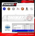 échappement silencieux DOMINATOR GPF compatible avec la moto Yamaha TDM 900 2002  2013 6