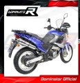 Pegaso 650 Exhaust Aprilia Muffler Auspuff Sportauspuff Silencer Echappement Silencieux Scarico Scarichi Escape ROUND 2001 - 2004 Dominator 2