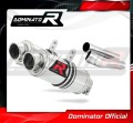 MONSTER 600 EXHAUST Ducati Muffler Auspuff Sportauspuff Silencer Echappement Silencieux Scarico Scarichi Escape Wydech Tłumik GP 1 1993 - 2002 Dominator 